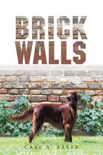 Cover image for Brick Walls