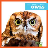 Cover image for Owls