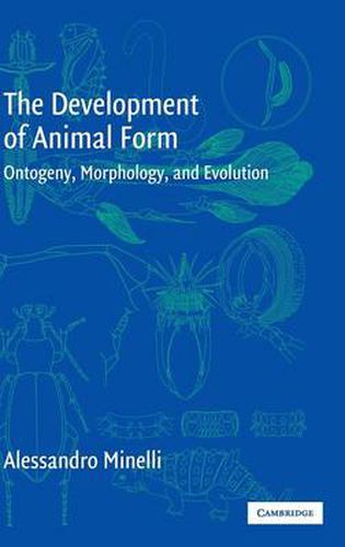 Cover image for The Development of Animal Form: Ontogeny, Morphology, and Evolution