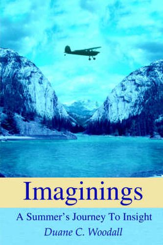 Cover image for Imaginings: A Summer's Journey To Insight