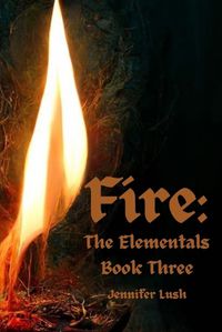 Cover image for Fire