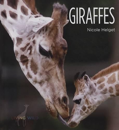 Cover image for Giraffes