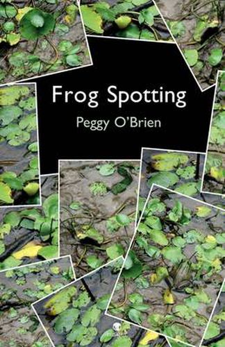 Cover image for Frog Spotting