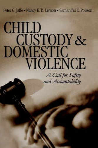 Cover image for Child Custody and Domestic Violence: A Call for Safety and Accountability