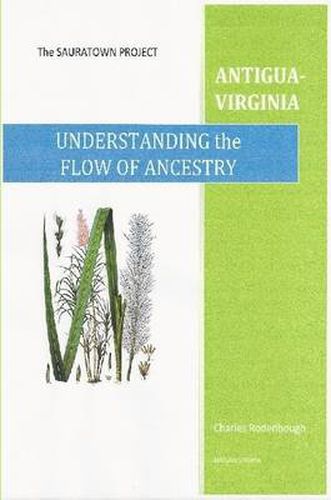 Understanding the Flow of Ancestry-Antigua-Virginia