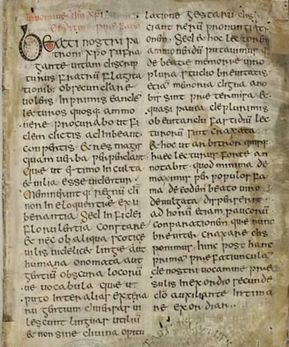 Cover image for The Schaffhausen Adomnan: Schaffhausen, Stadtbibliothek, MS Generalia 1
