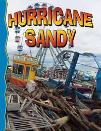 Cover image for Superstorm Sandy