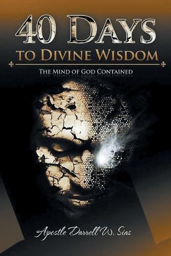 Cover image for 40 Days To Divine Wisdom