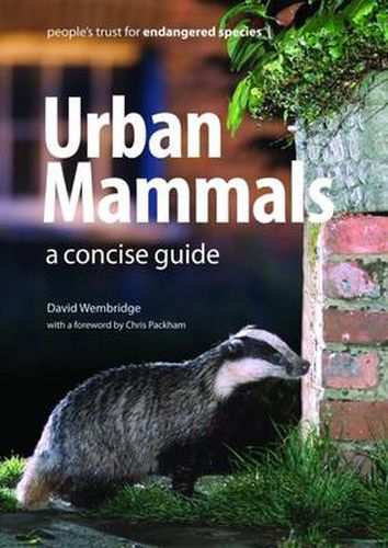 Cover image for Urban Mammals: A Concise Guide