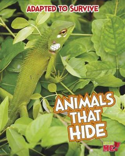 Cover image for Animals That Hide