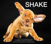 Cover image for Shake
