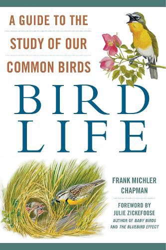 Cover image for Bird Life: A Guide to the Study of Our Common Birds