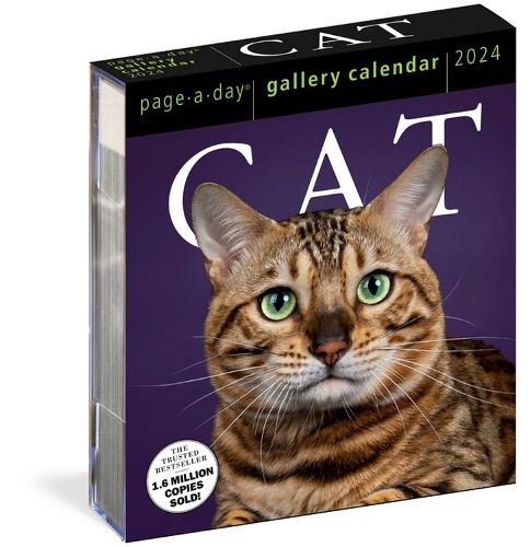 Cover image for Cat Page-A-Day Gallery Calendar 2024