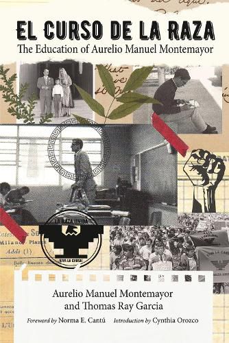 Cover image for El Curso De La Raza