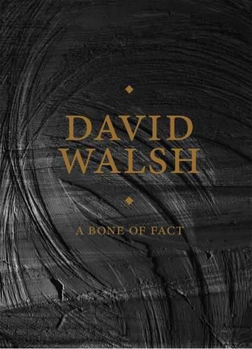 Cover image for A Bone of Fact