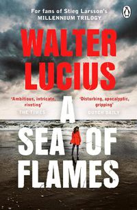 Cover image for A Sea of Flames