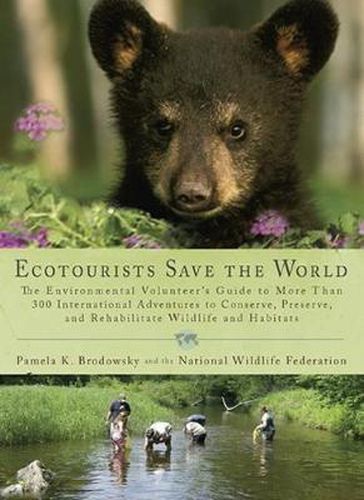 Cover image for Ecotourists Save The World: The Environmental Volunteer's Guide to More Than 300 International Adventures to Conserve, Preserve and...