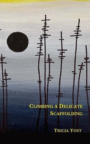 Cover image for Climbing a Delicate Scaffolding