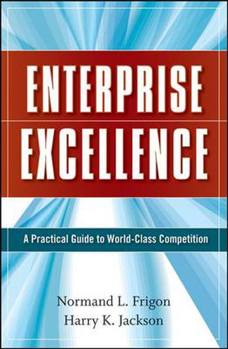 Cover image for Enterprise Excellence: A Practical Guide to World Class Competition