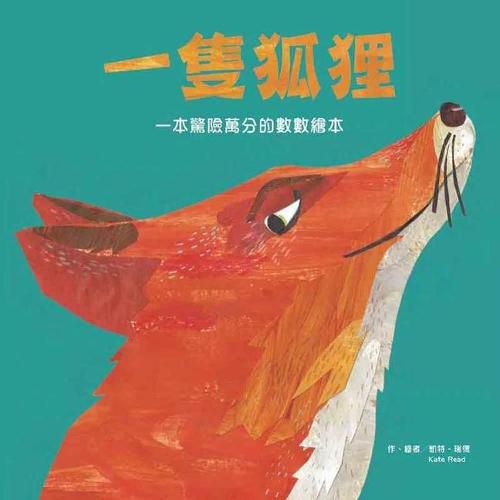 Cover image for One Fox