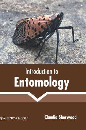 Cover image for Introduction to Entomology