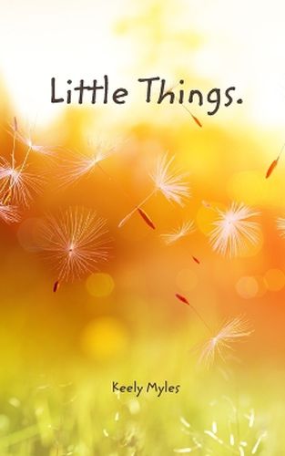 Cover image for Little things.