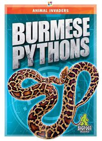 Cover image for Animal Invaders: Burmese Pythons
