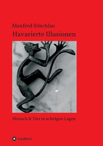 Cover image for Havarierte Illusionen