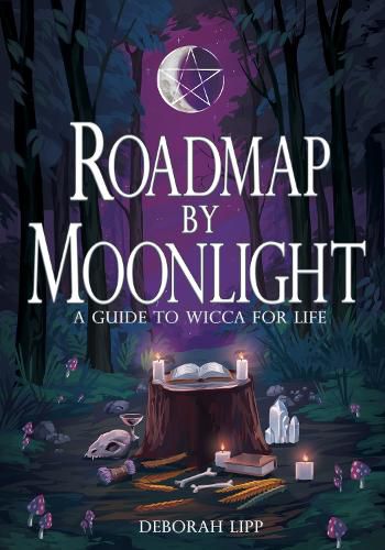 Cover image for Roadmap by Moonlight