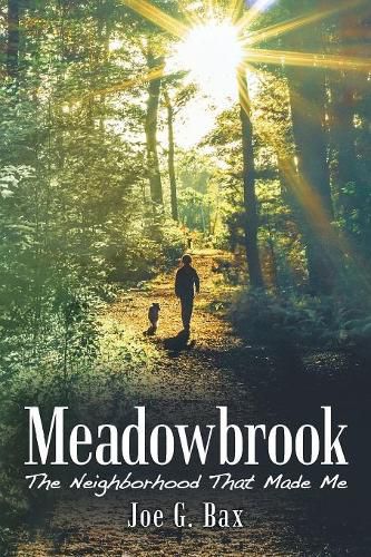 Cover image for Meadowbrook: The Neighborhood That Made Me