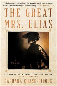 Cover image for The Great Mrs. Elias
