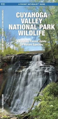 Cover image for Cuyahoga Valley National Park Wildlife