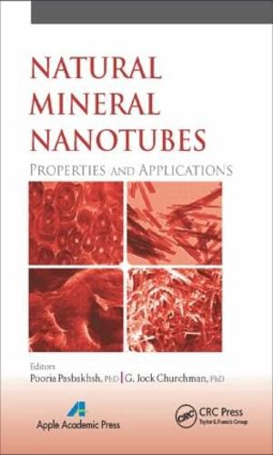 Cover image for Natural Mineral Nanotubes: Properties and Applications