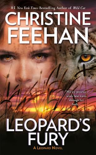 Cover image for Leopard's Fury