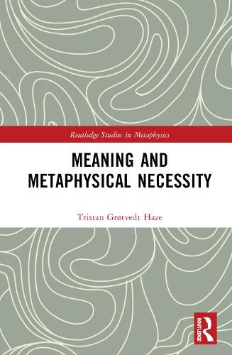 Cover image for Meaning and Metaphysical Necessity