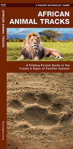 Cover image for African Animal Tracks: A Folding Pocket Guide to the Tracks & Signs of Familiar Species