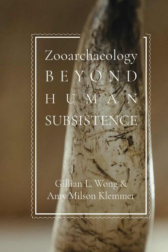 Cover image for Zooarchaeology beyond Human Subsistence