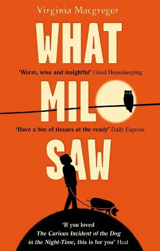 Cover image for What Milo Saw: He sees the world in a very special way . . .