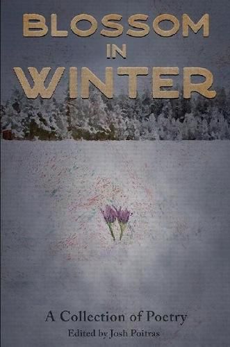 Cover image for Blossom In Winter