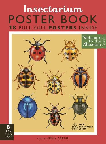 Cover image for Insectarium Poster Book