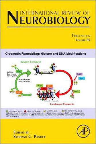 Cover image for Epigenetics