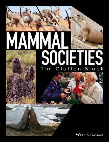 Cover image for Mammal Societies