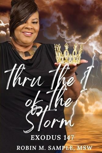 Cover image for thru the I of the storm