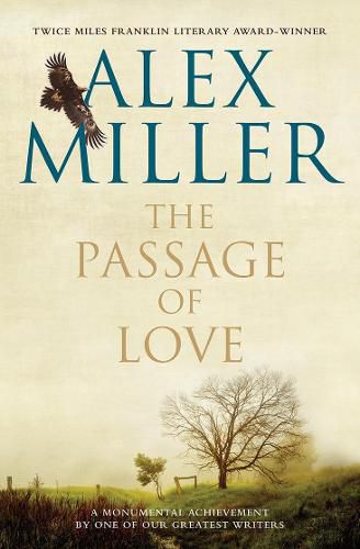 Cover image for The Passage of Love