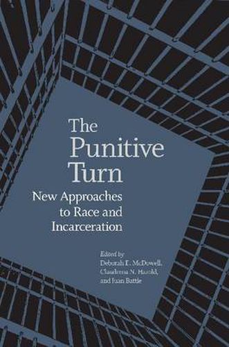 Cover image for The Punitive Turn: New Approaches to Race and Incarceration