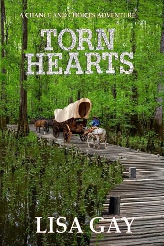 Cover image for Torn Hearts