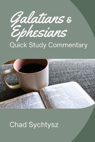 Cover image for Quick Study Commentary Series