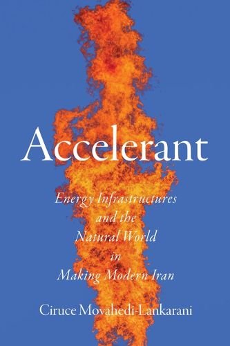 Cover image for Accelerant