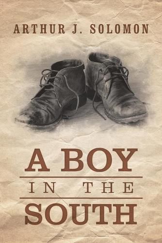 Cover image for A Boy in the South