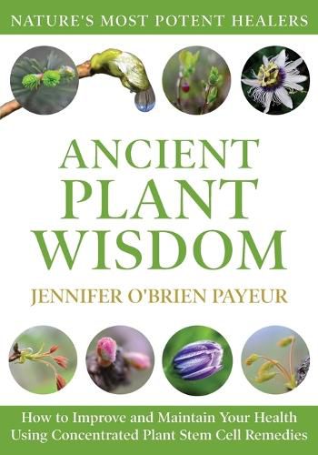 Cover image for Ancient Plant Wisdom